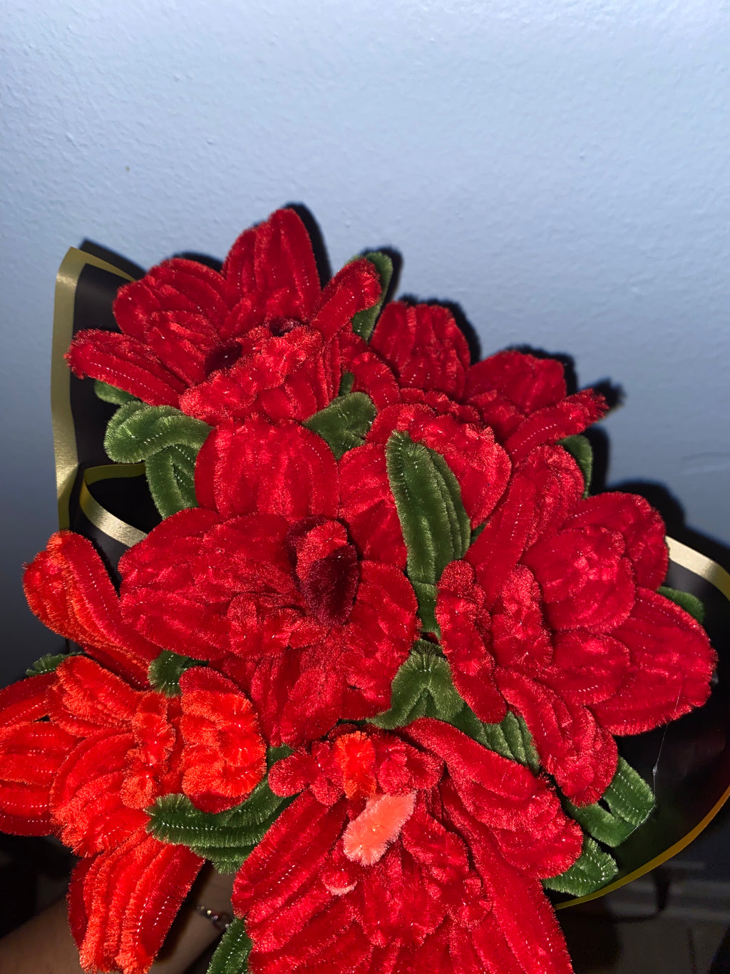 Half A Dozen Roses
