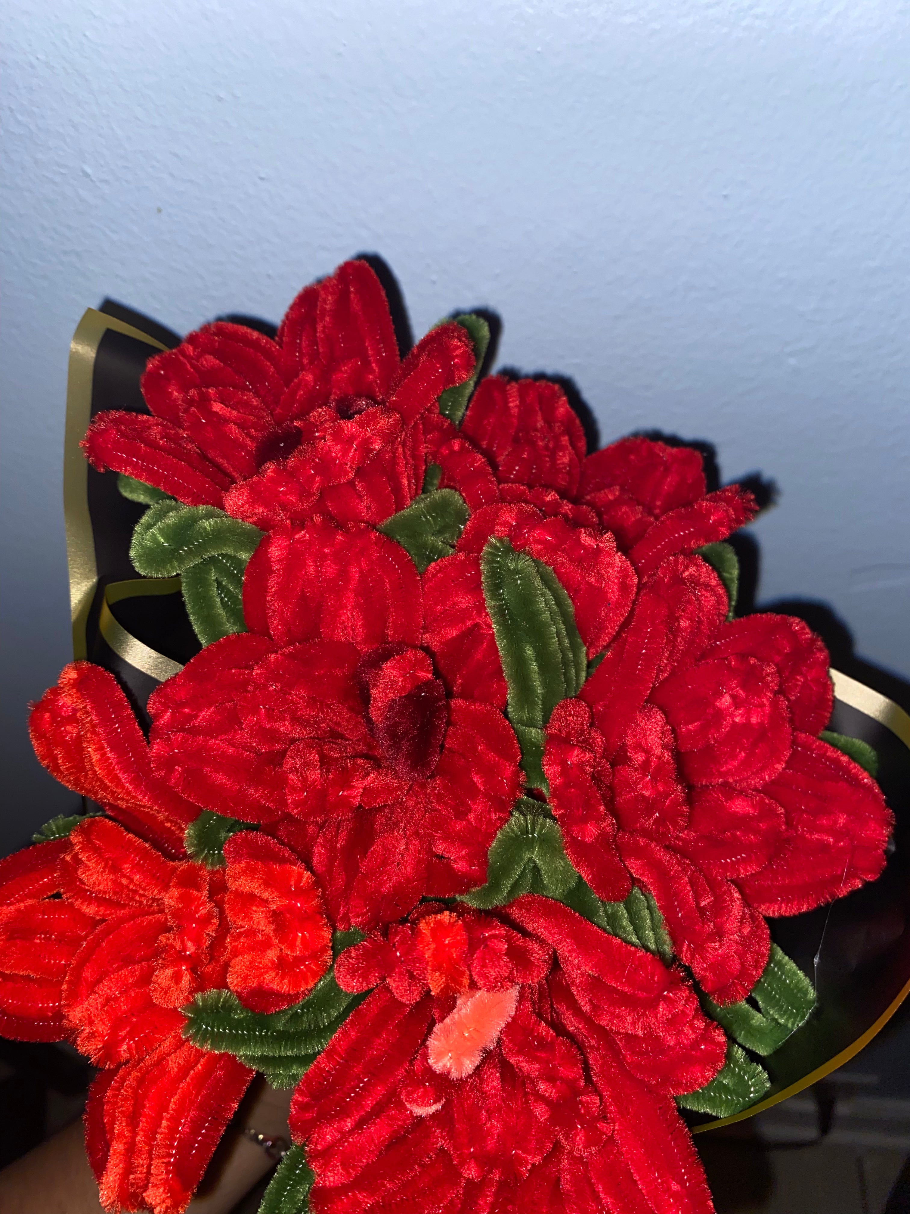 Half A Dozen Roses