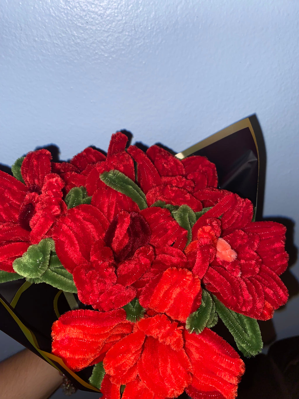 Half A Dozen Roses